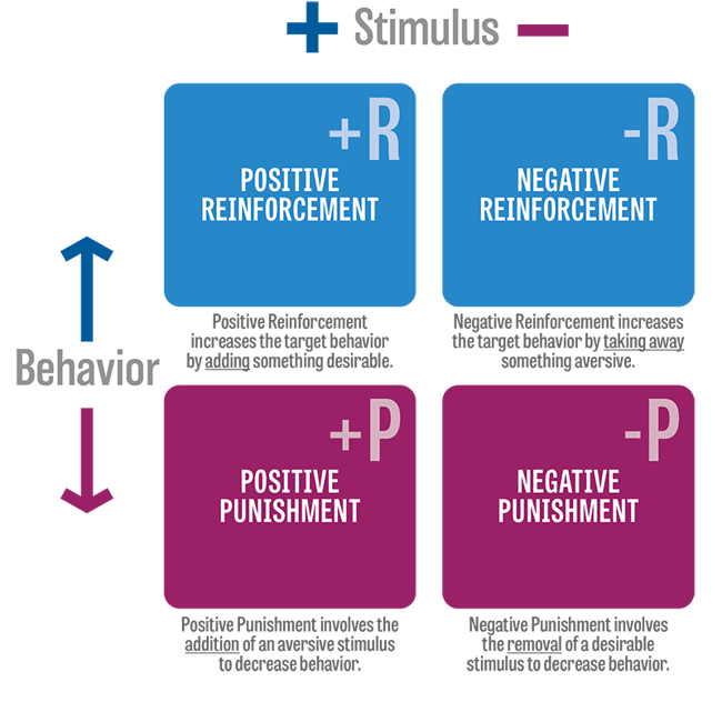 Blog-Reinforcement-Punishment