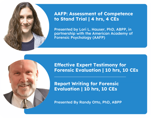 Criminal Court Expert - LP Main Image-adjusted