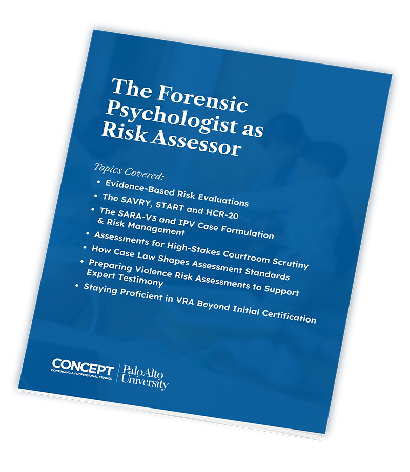 eBook-MockUp-Risk-Assessor-outerglow-dkblue