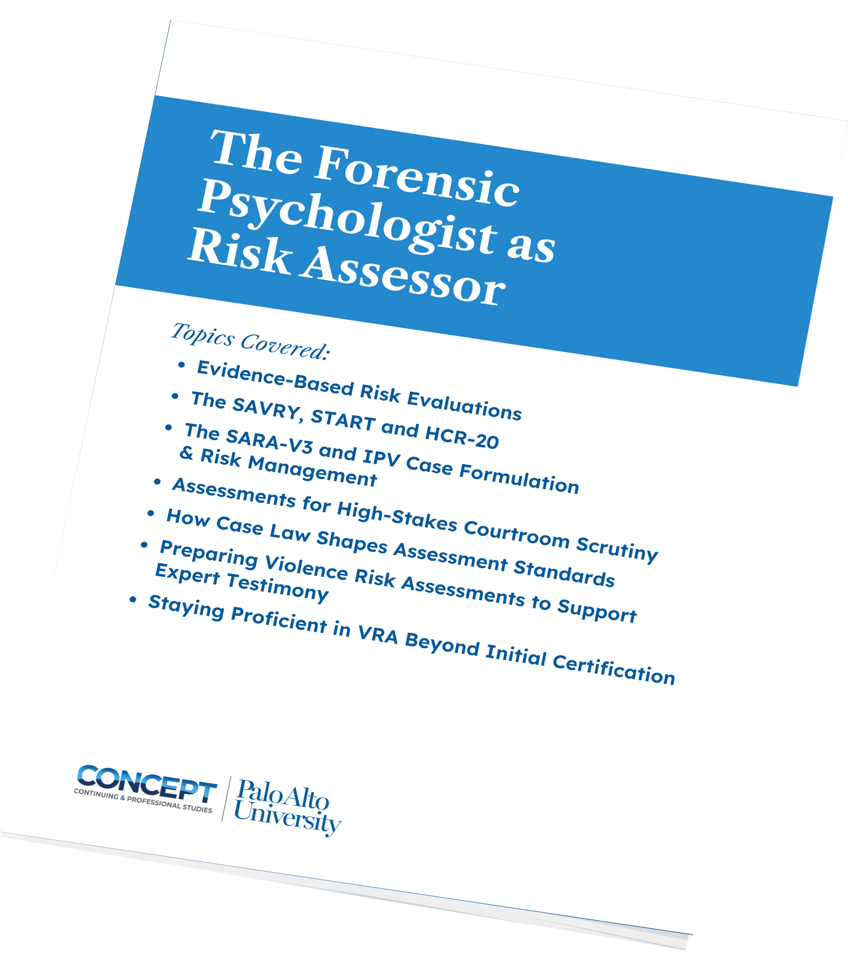 eBook-MockUp-Risk-Assessor-white-cover