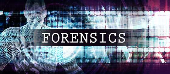 What are the Roles and Responsibilities of a Forensic Psychologist?