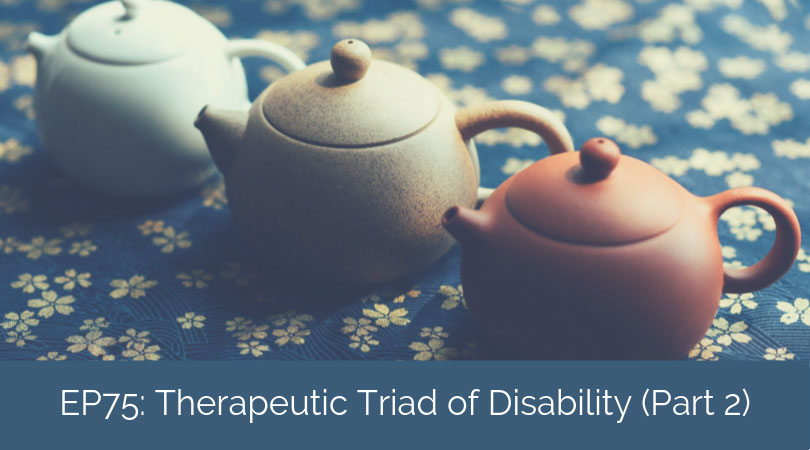 The Therapeutic Triad of Disability (Part 2) – Forgiveness, Self-Compassion, and Resilience with Susan Stuntzner and Angela MacDonald