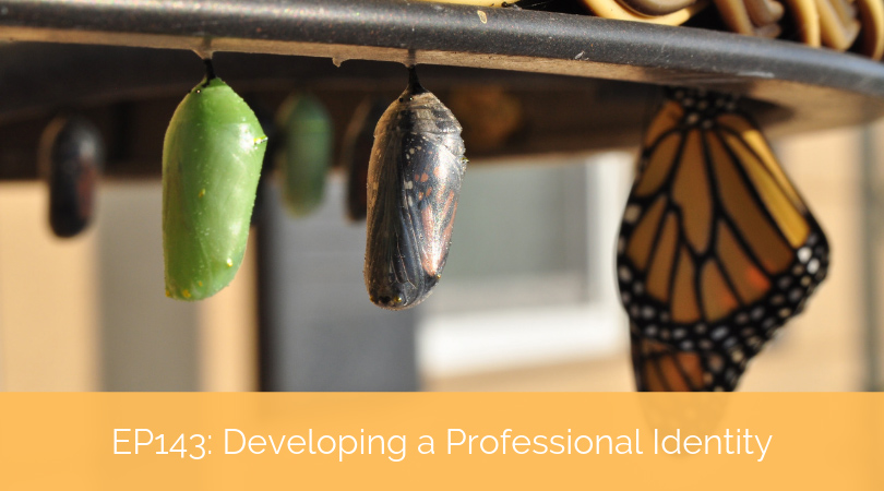 Developing a Professional Identity – A Reflection with Robyn Trippany Simmons, Meagan Thompson, and Hayley Rose