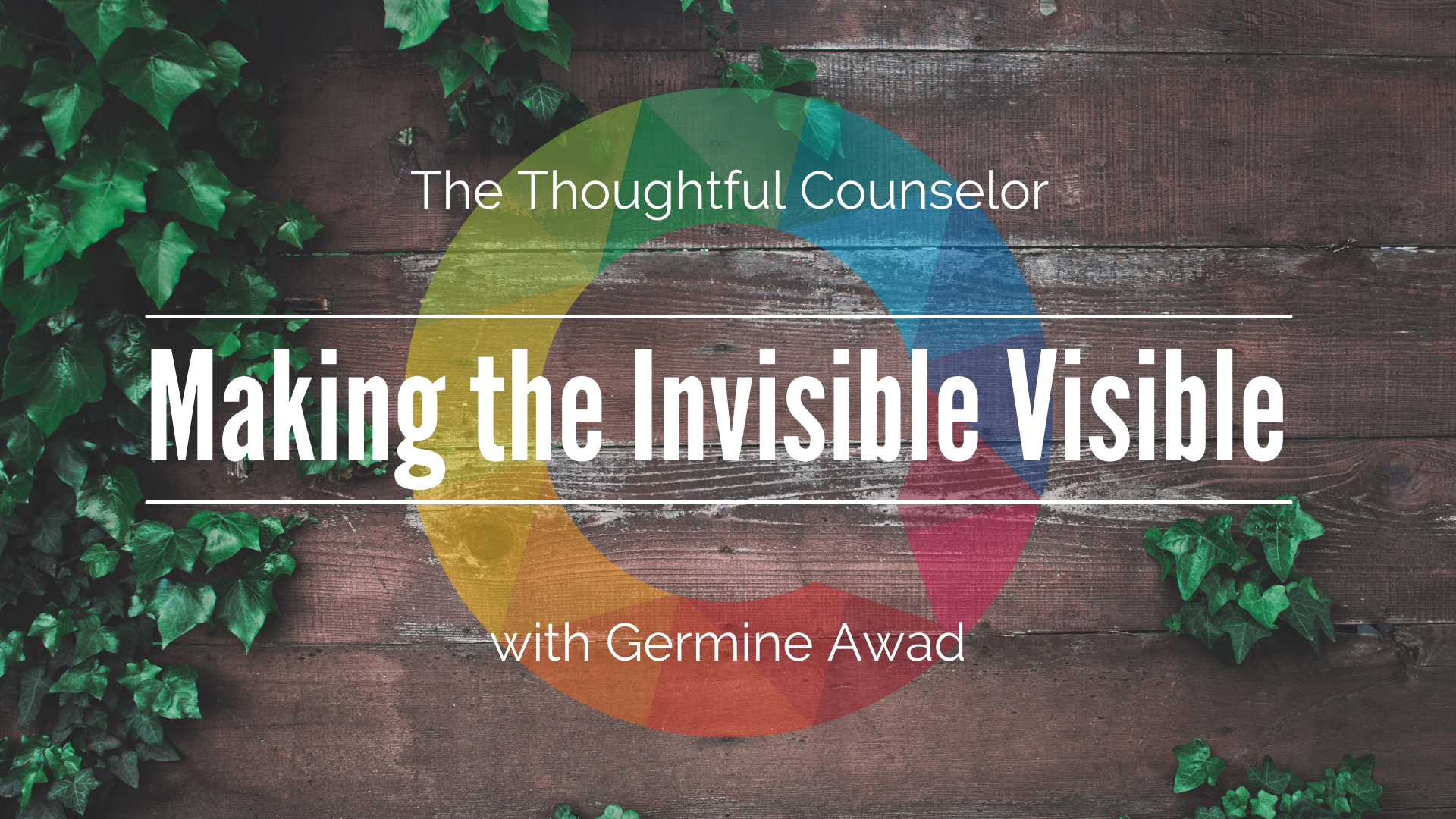 Making the Invisible Visible: Advocacy and Allyship for AMENA Communities