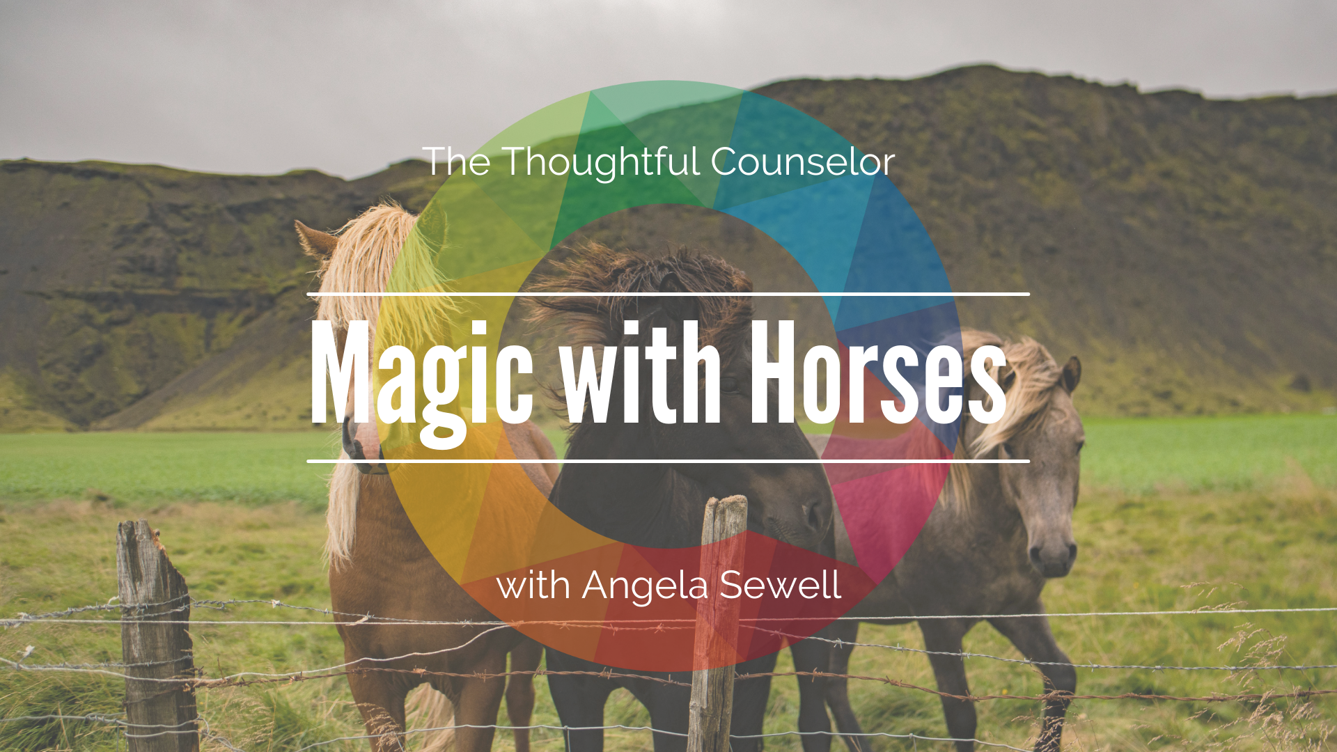Magic with Horses—Equine Therapy with Angela Sewell