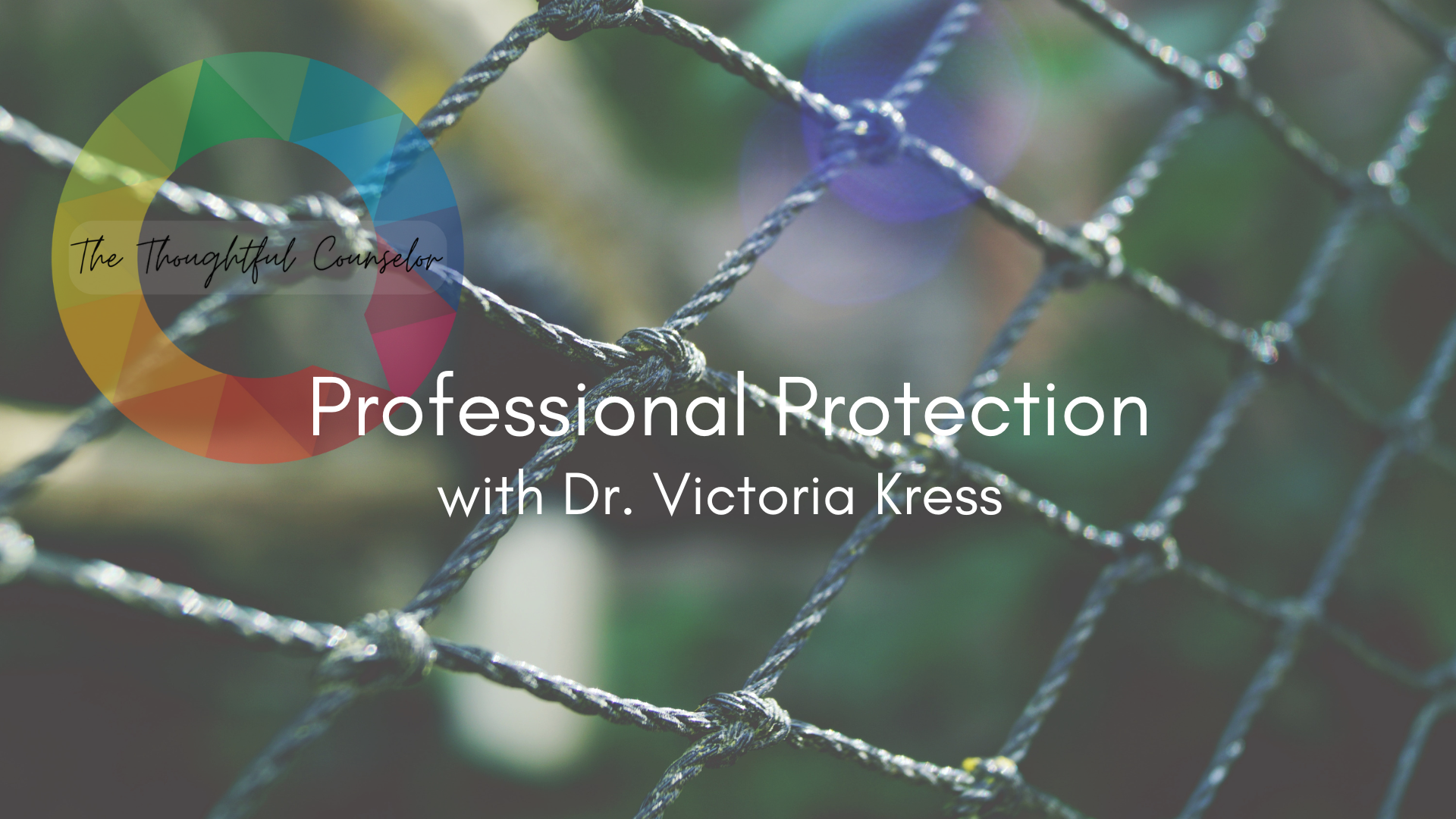 Professional Protection: Safeguarding the Future of Counseling