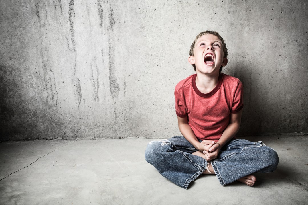 A Volcano in My Tummy – Working with Anger in Children and Adolescents with Warwick Pudney