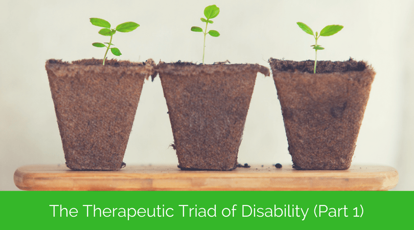 The Therapeutic Triad of Disability (Part 1) – Forgiveness, Self-Compassion, and Resilience with Susan Stuntzner and Angela MacDonald